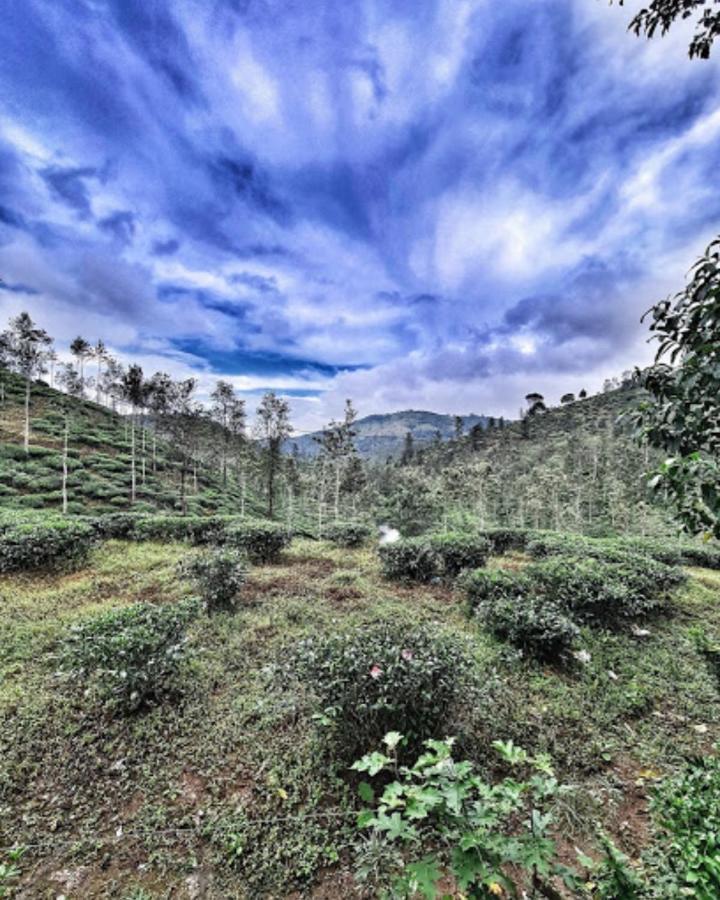 Noah'S Nest Tree House Apartment Thekkady Bagian luar foto