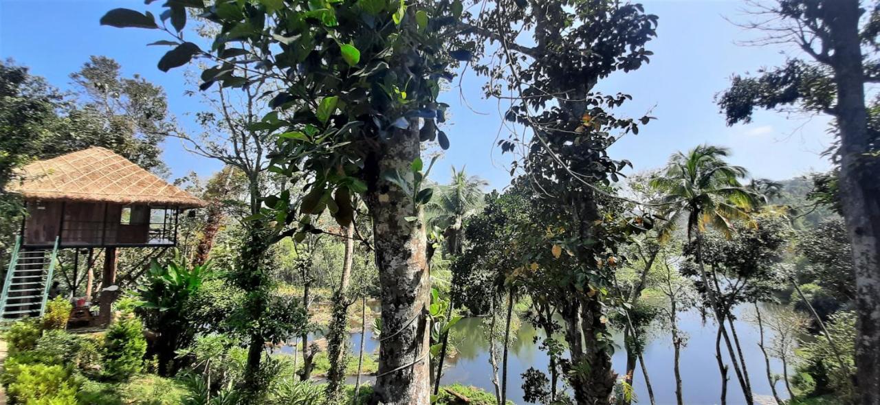 Noah'S Nest Tree House Apartment Thekkady Bagian luar foto