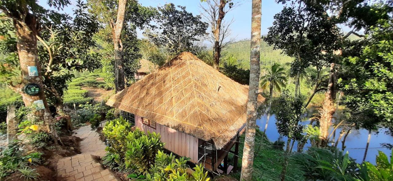 Noah'S Nest Tree House Apartment Thekkady Bagian luar foto