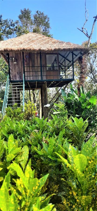 Noah'S Nest Tree House Apartment Thekkady Bagian luar foto
