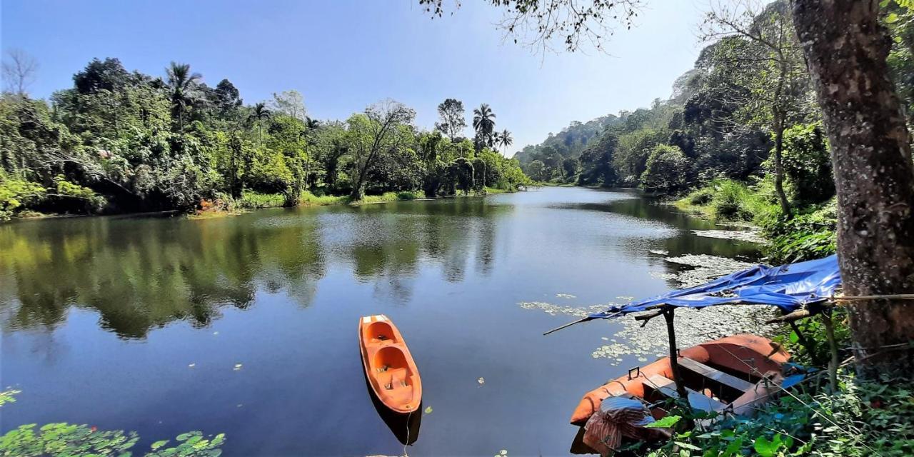 Noah'S Nest Tree House Apartment Thekkady Bagian luar foto