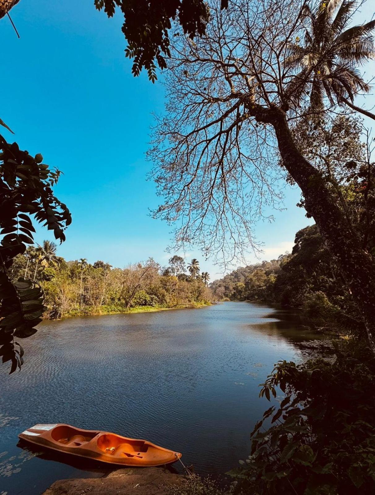 Noah'S Nest Tree House Apartment Thekkady Bagian luar foto