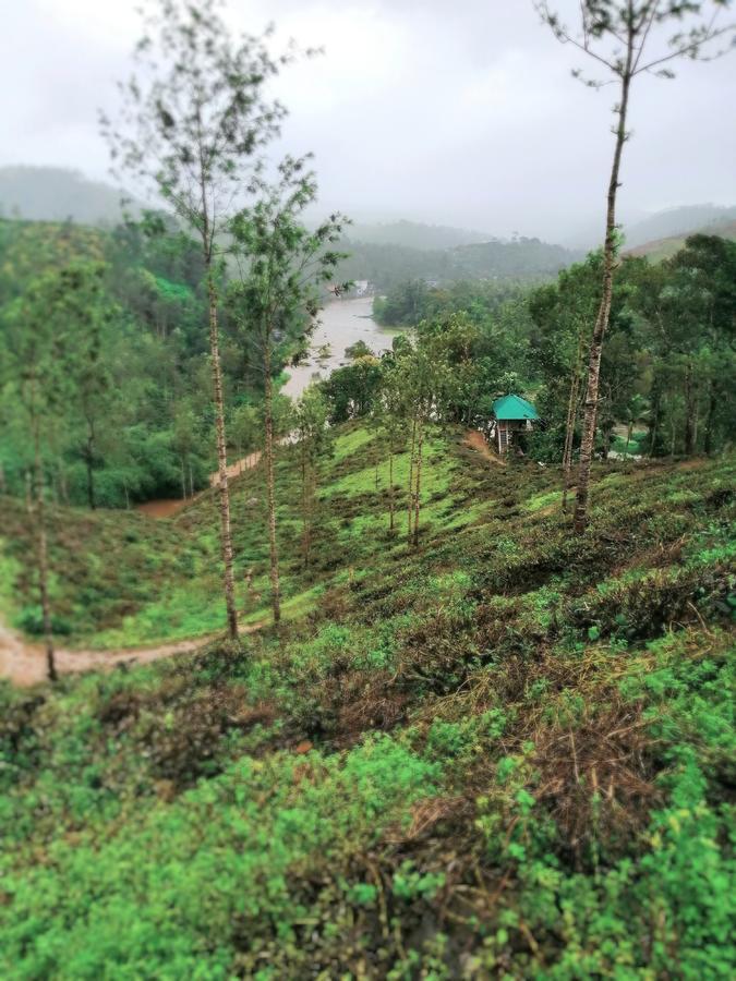 Noah'S Nest Tree House Apartment Thekkady Bagian luar foto