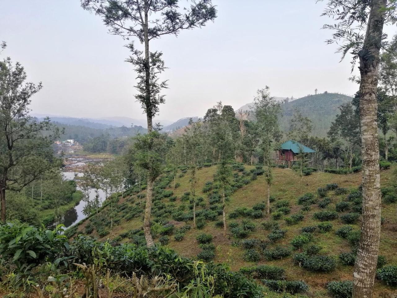 Noah'S Nest Tree House Apartment Thekkady Bagian luar foto