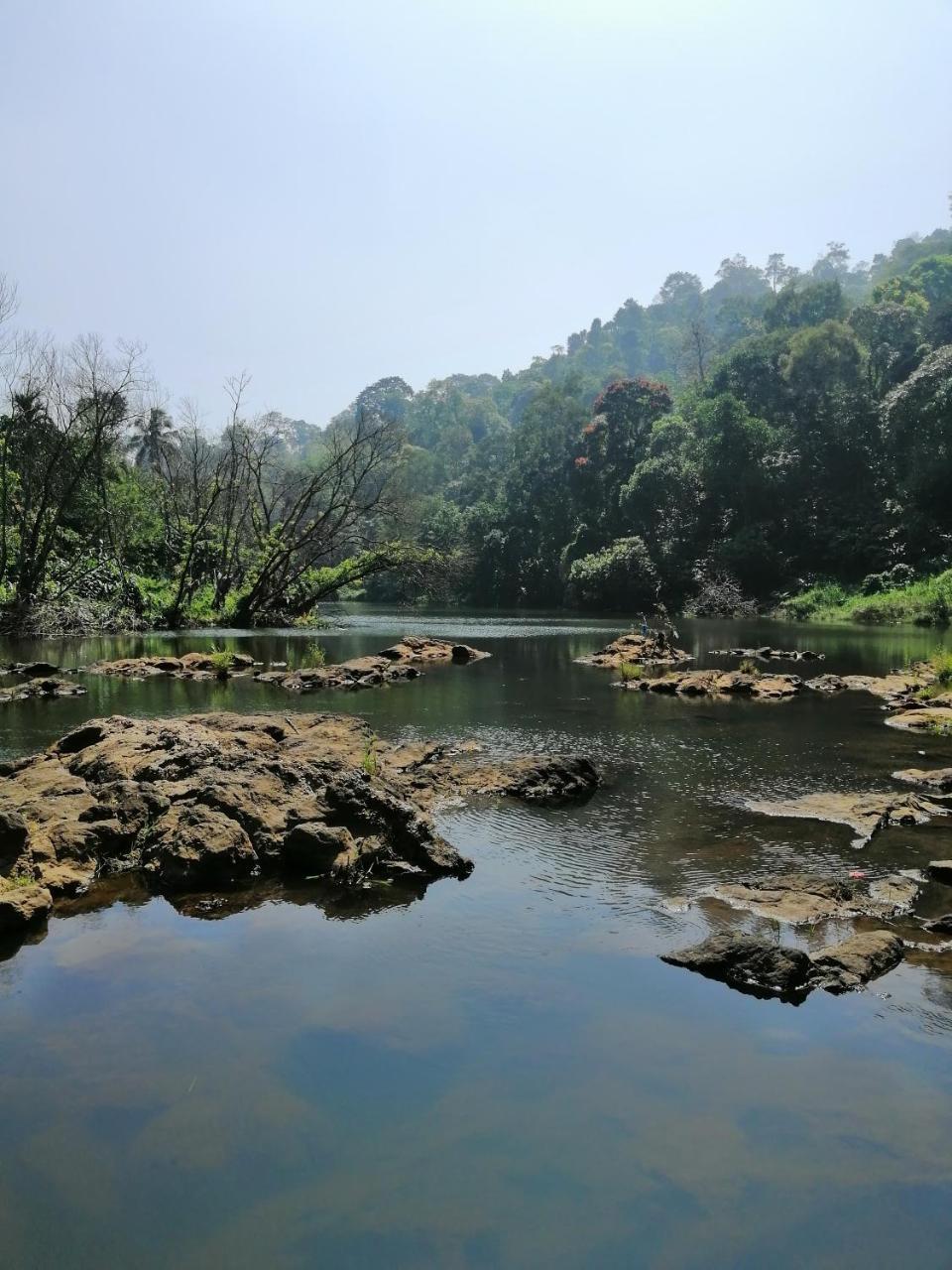 Noah'S Nest Tree House Apartment Thekkady Bagian luar foto