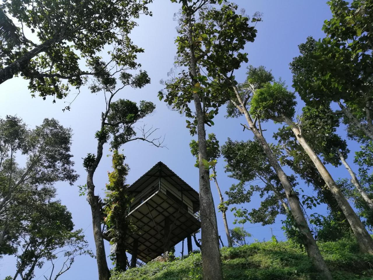 Noah'S Nest Tree House Apartment Thekkady Bagian luar foto