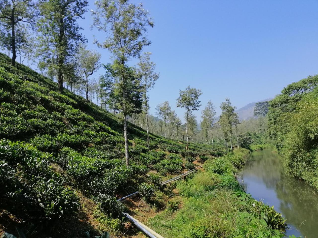 Noah'S Nest Tree House Apartment Thekkady Bagian luar foto